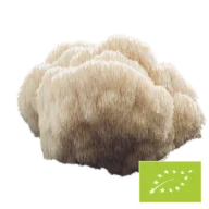Natura Med Cogumelo Hericium orgânico em pó – 100 g