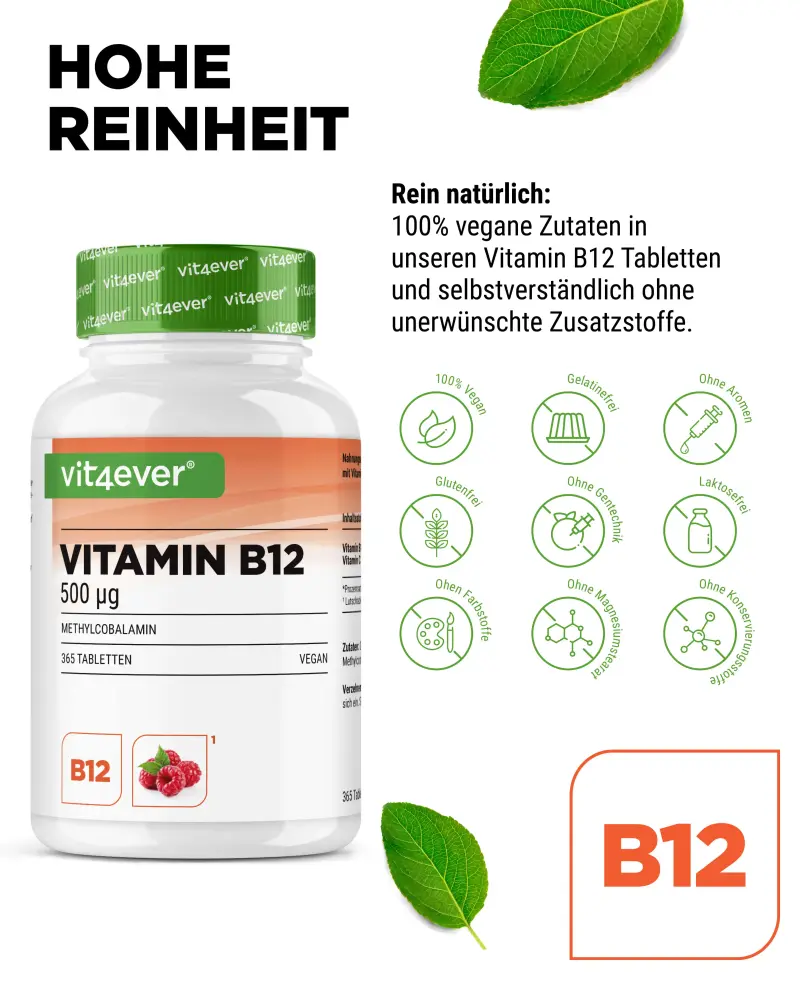 Vit4ever Raspberry-flavoured vitamin B12 – 365 tablets – Internationales Etikett