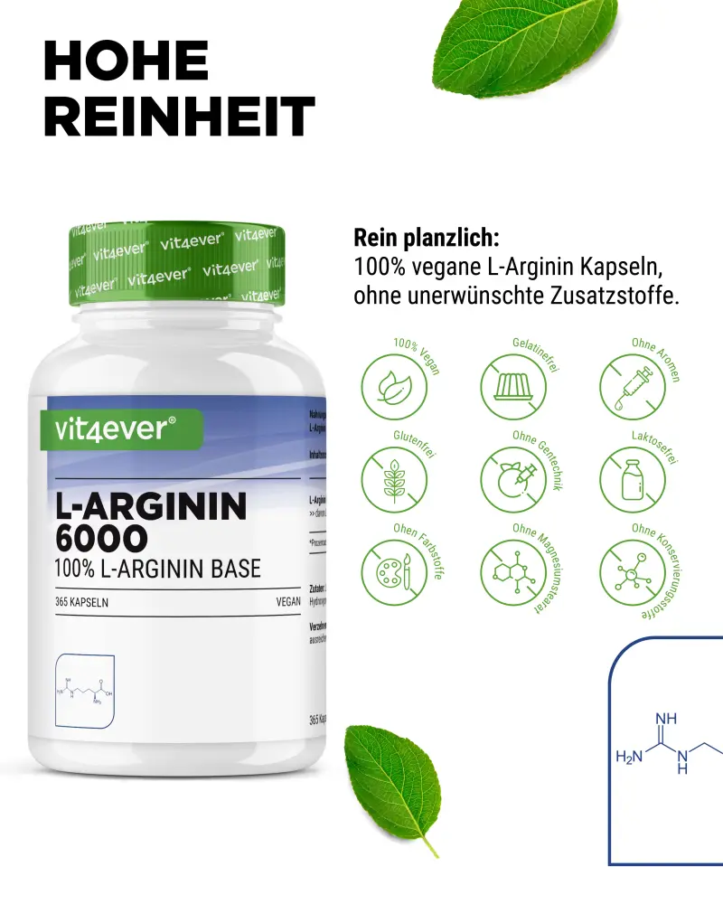 Vit4ever L-Arginin Base – 365 Kapseln – Internationales Etikett