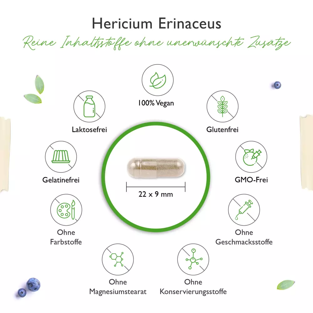 Vit4ever Hericium Erinaceus Intenso – 180 cápsulas – Rückseite