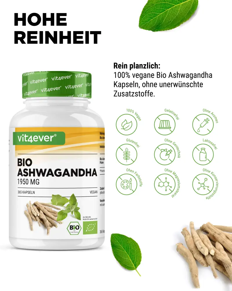 Vit4ever Ashwagandha biologique – 365 gélules – Internationales Etikett
