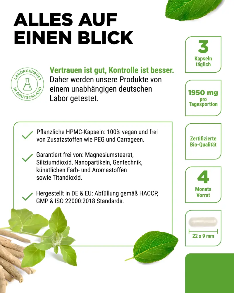 Vit4ever Ashwagandha biologique – 365 gélules – Reinheit & Eigenschaften