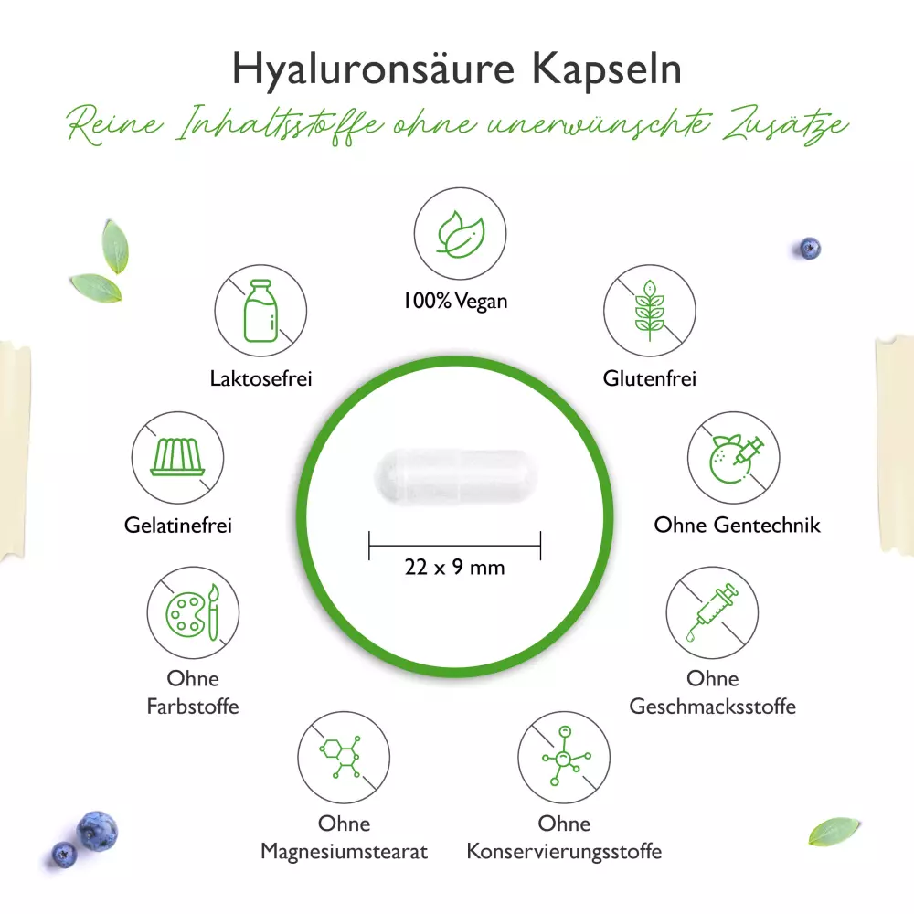 Vit4ever Acide hyaluronique – 180 gélules – Internationales Etikett