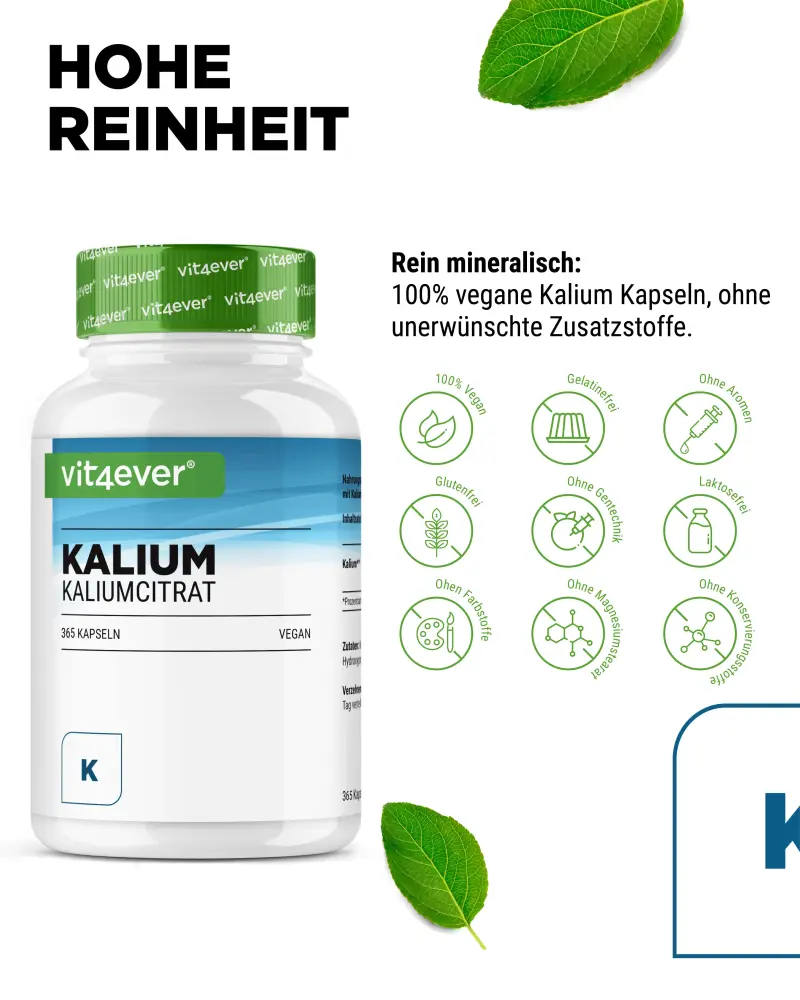 Vit4ever Kalium – 365 capsules – Internationales Etikett