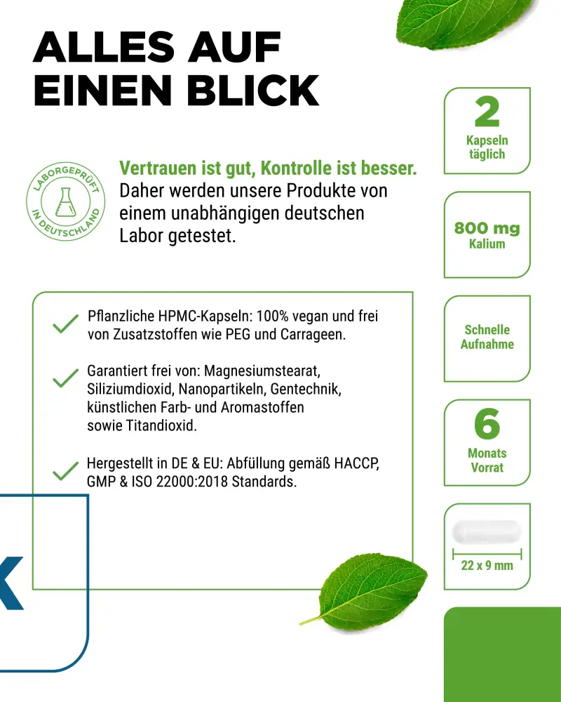 Vit4ever Kalium – 365 capsules – Reinheit & Eigenschaften