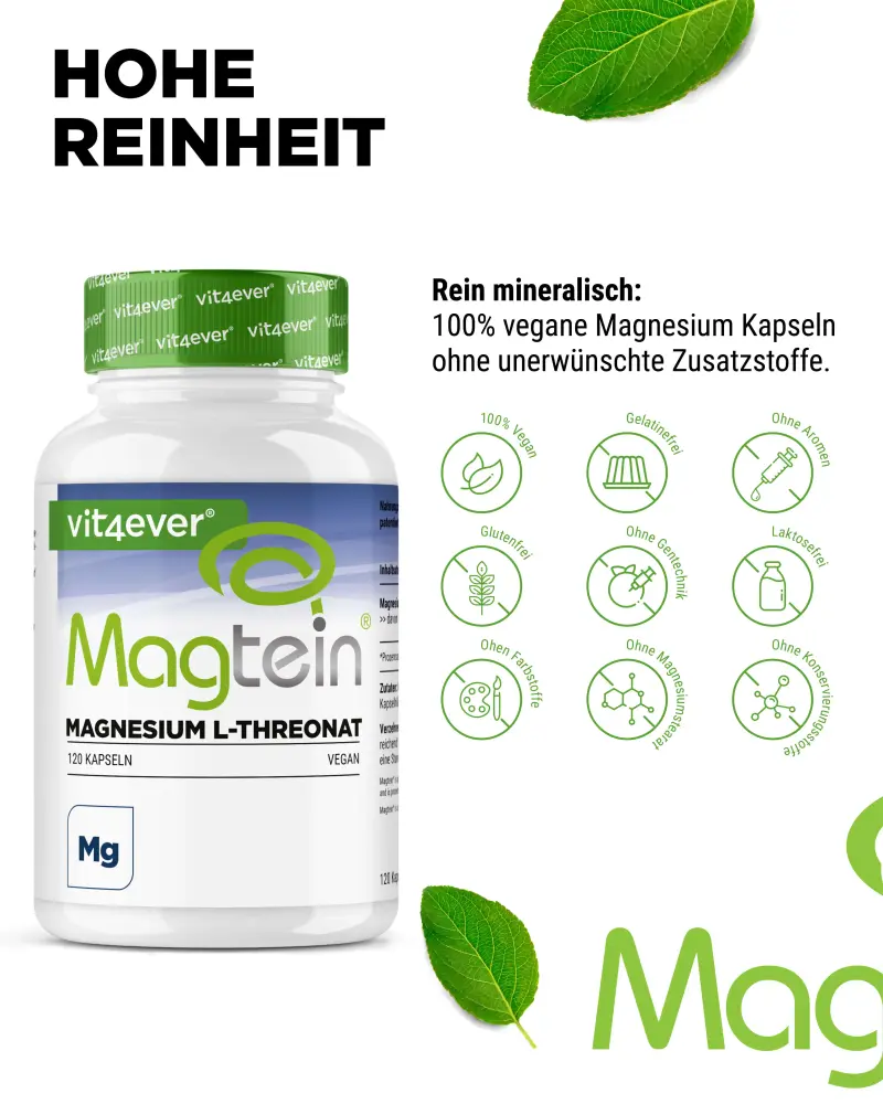 Vit4ever Magtein® L-Treonato de magnésio – 120 cápsulas – Internationales Etikett