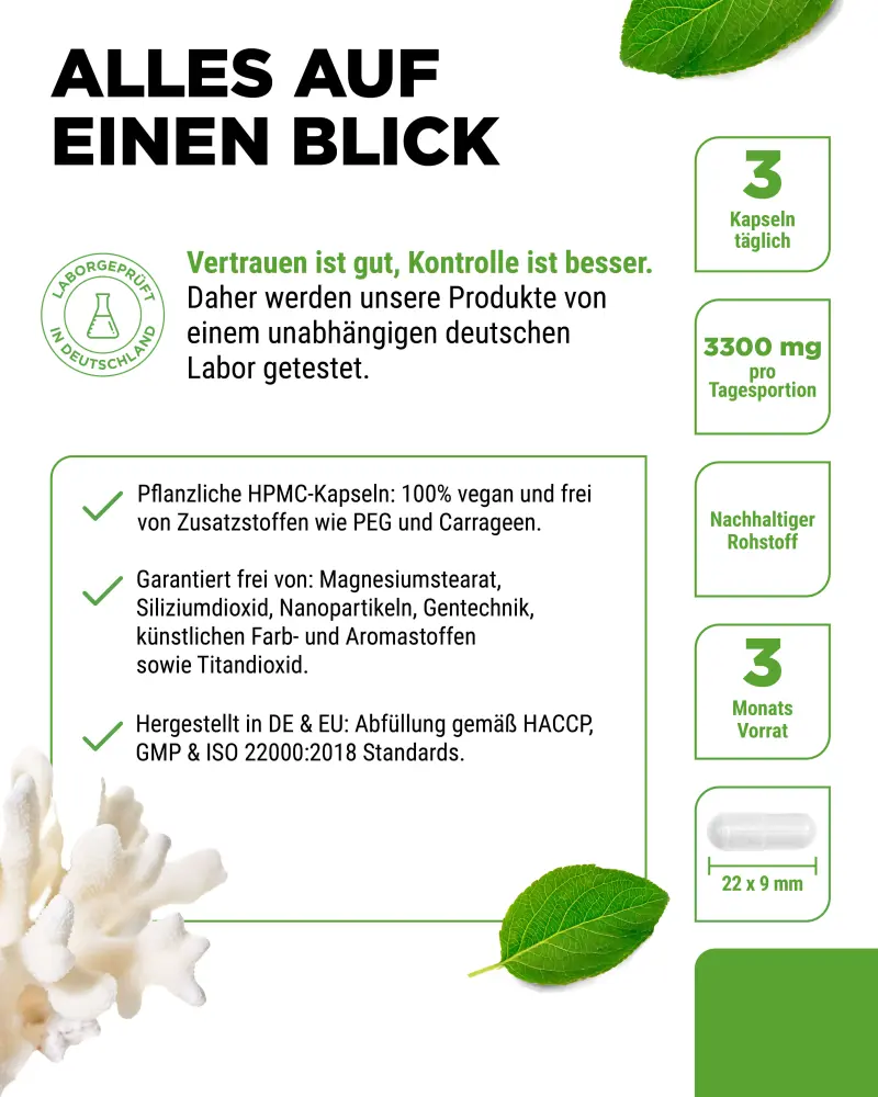 Vit4ever Corail de mer Sango – 240 gélules – Reinheit & Eigenschaften
